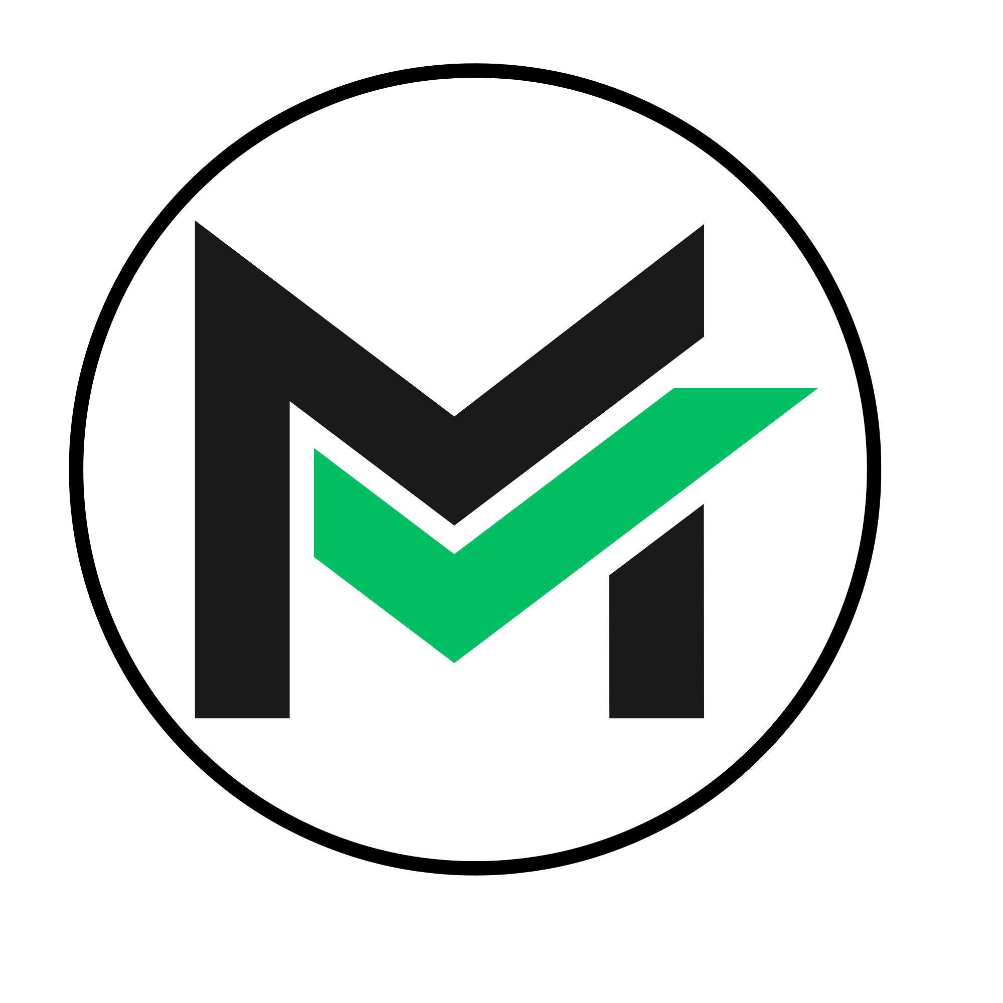 MasterCheck App Icon